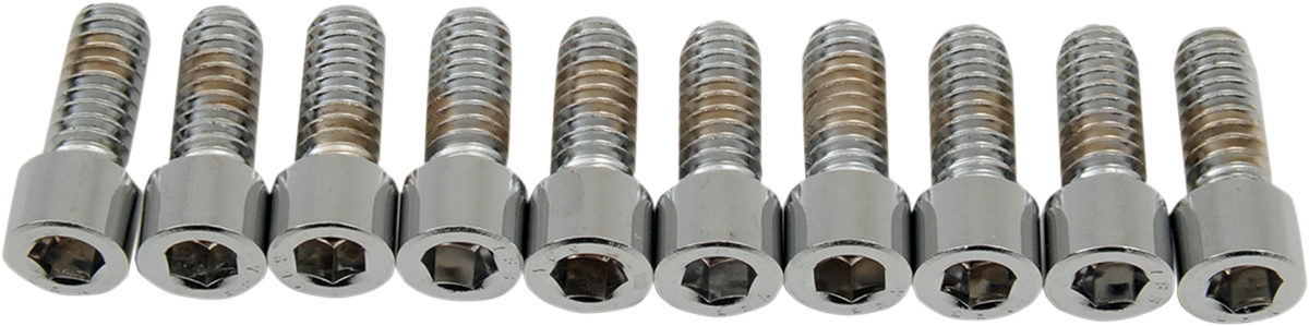 DRAG SPECIALTIES Bolts - Socket-Head - Smooth - 1/4-20 x 5/8" MPB178S - Cycle City Outdoors