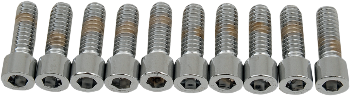 DRAG SPECIALTIES Bolts - Socket-Head - Smooth - 1/4-20 x 3/4" MPB179S - Cycle City Outdoors