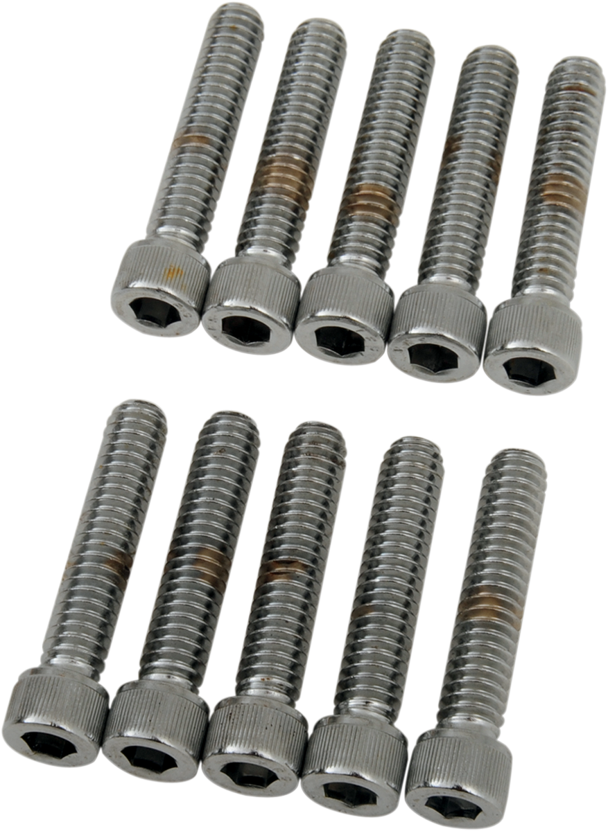 DRAG SPECIALTIES Bolts - Socket-Head - Knurled - 1/4-20 x 1-1/4" MPB182 - Cycle City Outdoors