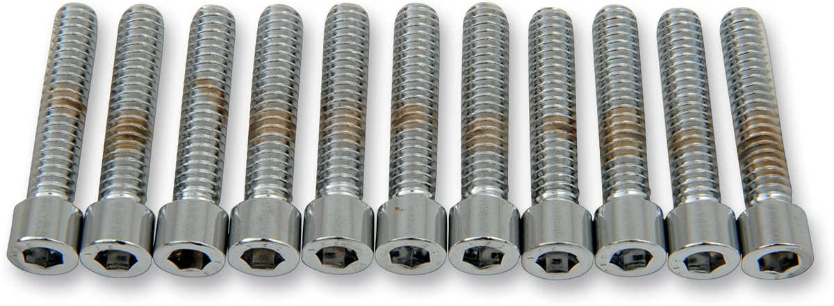 DRAG SPECIALTIES Bolts - Socket-Head - Smooth - 1/4-20 x 1-1/4" MPB182S - Cycle City Outdoors