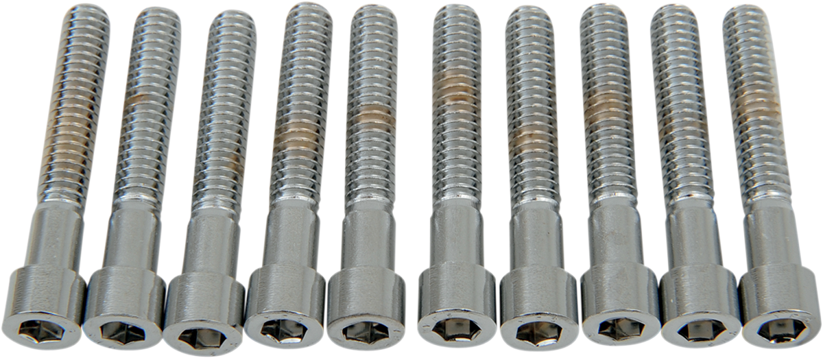 DRAG SPECIALTIES Bolts - Socket-Head - Smooth - 1/4-20 x 1-1/2" MPB183S - Cycle City Outdoors