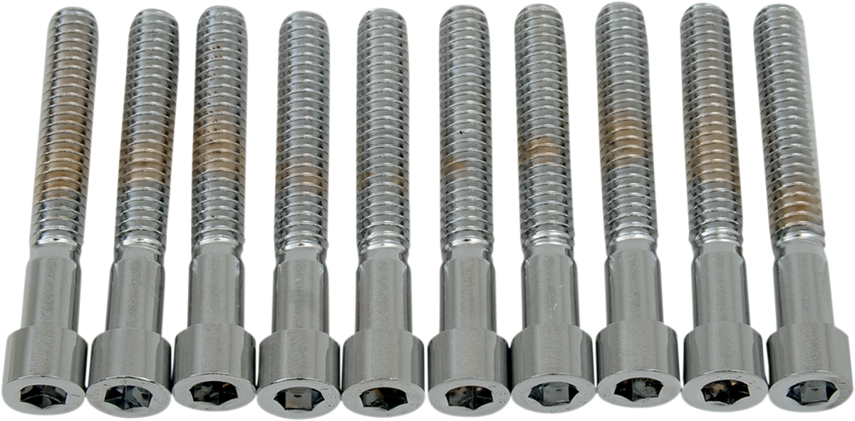 DRAG SPECIALTIES Bolts - Socket-Head - Smooth - 1/4-20 x 1-3/4" MPB184S - Cycle City Outdoors