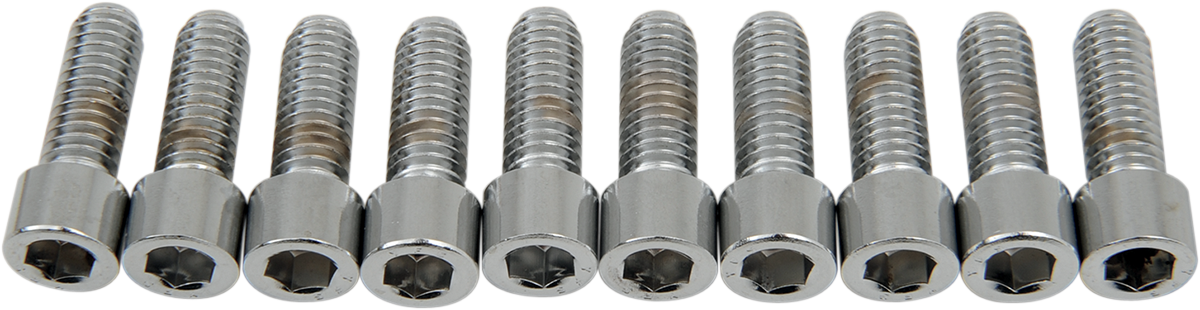 DRAG SPECIALTIES Bolts - Socket-Head - Smooth - 5/16-18 x 7/8" MPB216S - Cycle City Outdoors