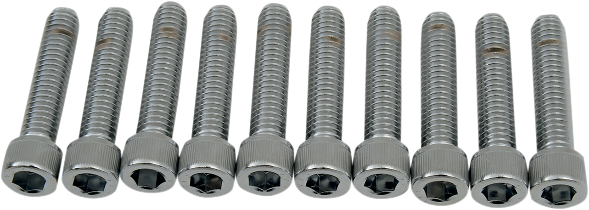 DRAG SPECIALTIES Bolts - Socket-Head - Knurled - 5/16-18 x 1-1/2" MPB219 - Cycle City Outdoors
