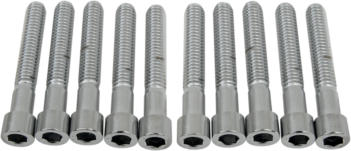 DRAG SPECIALTIES Bolts - Socket-Head - Smooth - 5/16-18 x 2" MPB221S - Cycle City Outdoors