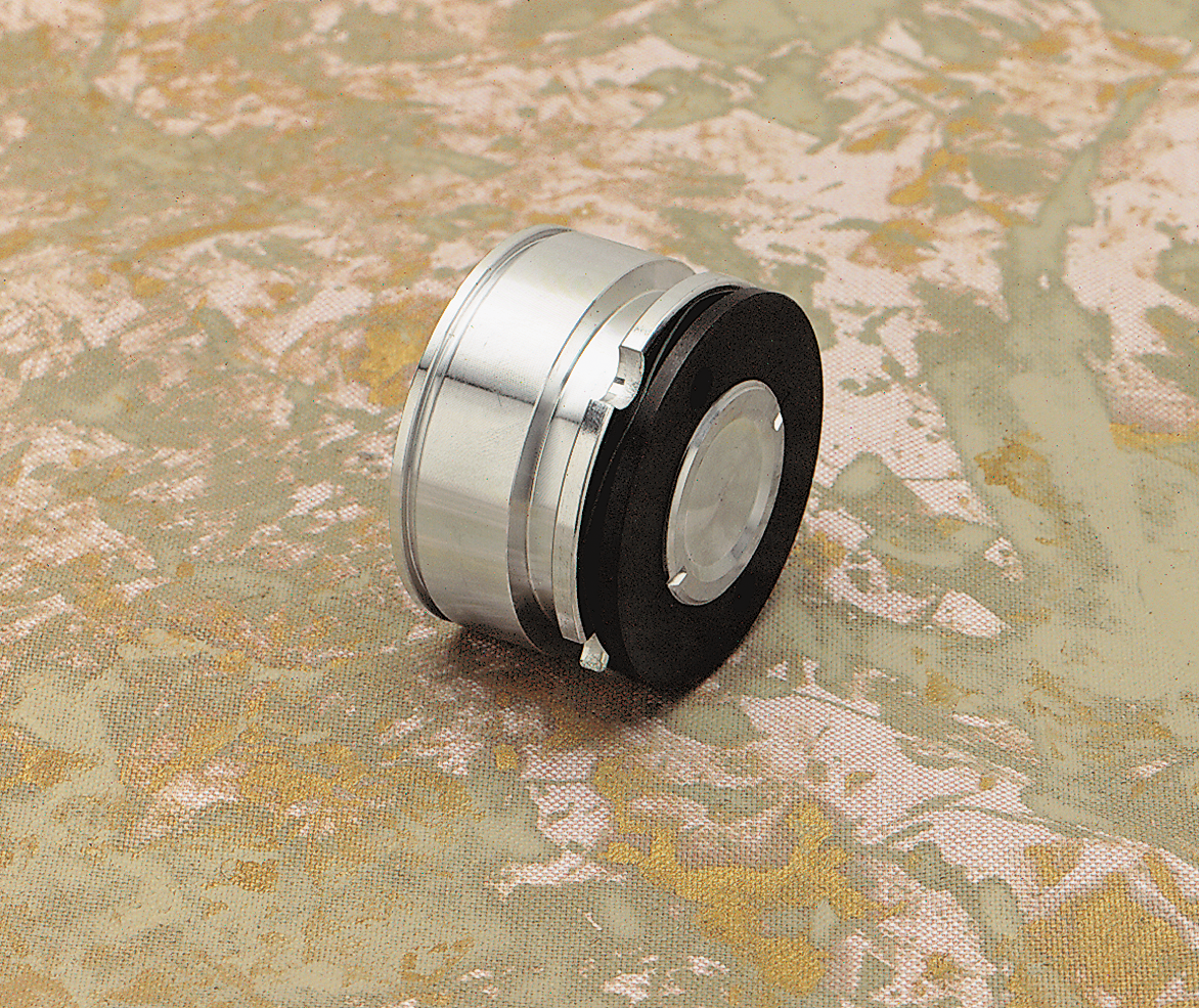 DRAG SPECIALTIES Rear Caliper Piston - FL 44129-73-BX - Cycle City Outdoors