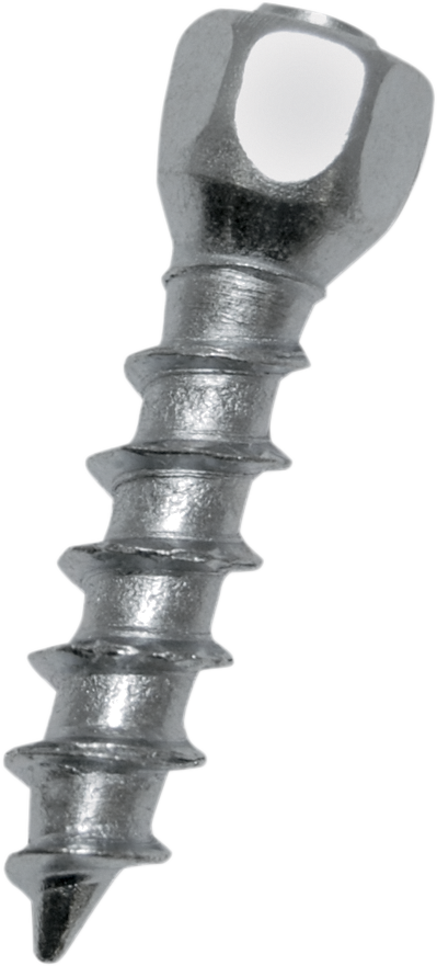 WOODY'S Twist Tire Screws - 25 mm - 100 Pack WST-0625-100