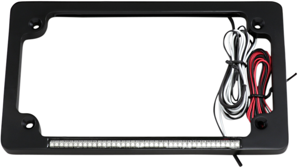 Custom Dynamics Dual License Plate Frame - Black TF02-B - Cycle City Outdoors