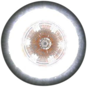 Custom Dynamics ProBEAM? Universal Turn Signals - Gloss Black/Clear PB-UNV-FTS-AW-B - Cycle City Outdoors