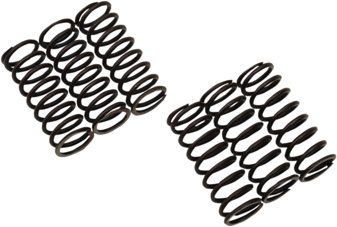MOOSE RACING Clutch Springs MHDS118-6 - Cycle City Outdoors