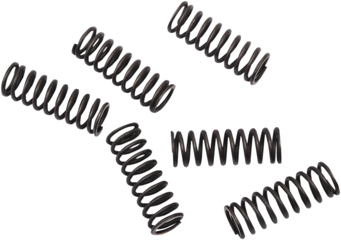 MOOSE RACING Clutch Springs - CRF 450 FHDS155-6 - Cycle City Outdoors