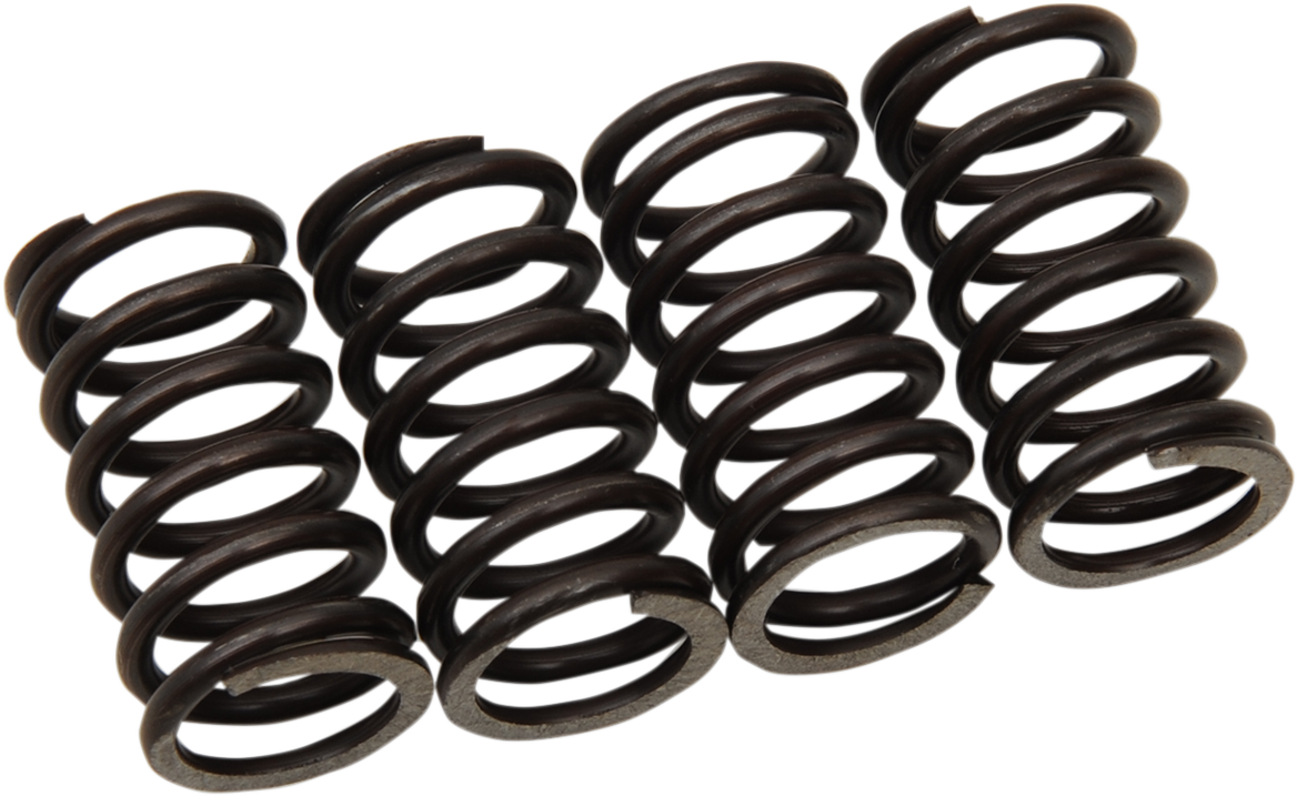 MOOSE RACING Clutch Springs MHDS4-4 - Cycle City Outdoors