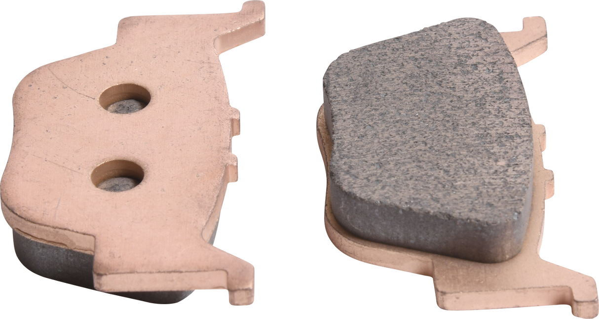 ALL BALLS Sintered Brake Pads 18-8037