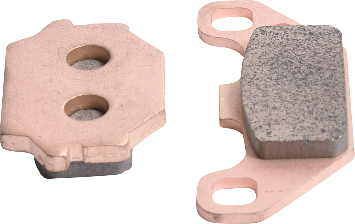 ALL BALLS Sintered Brake Pads 18-8021