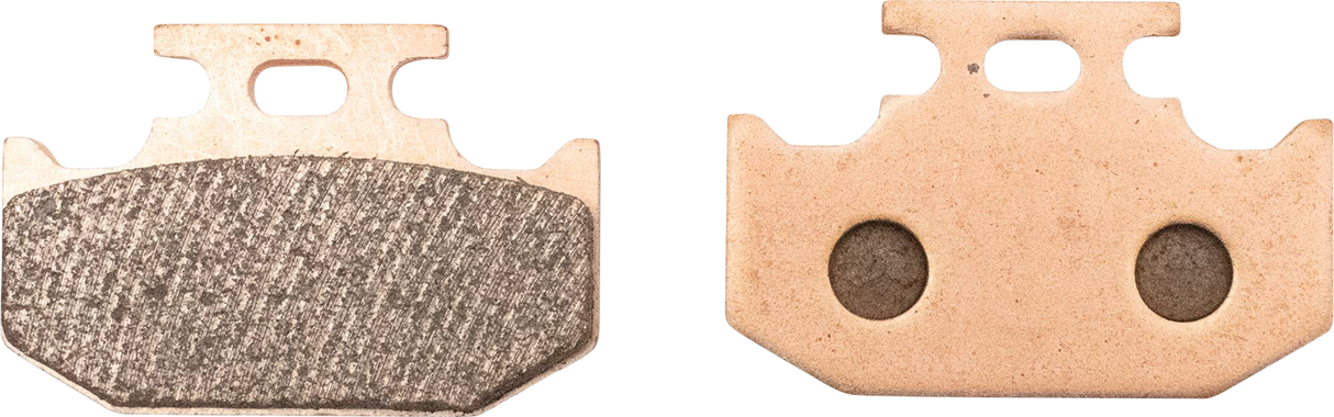 ALL BALLS Sintered Brake Pads 18-8055