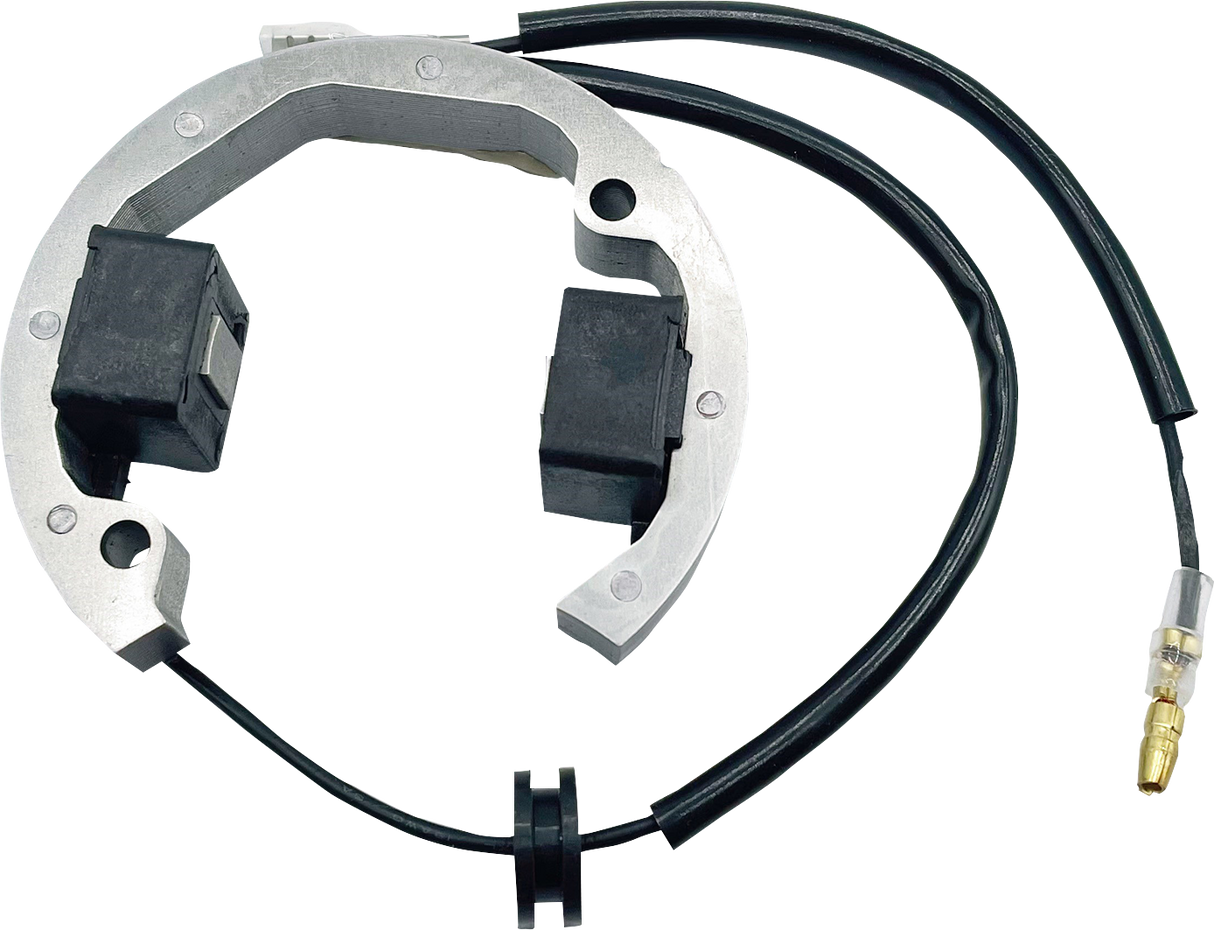 RICK'S MOTORSPORT ELECTRIC Stator - Husqvarna/KTM 210093