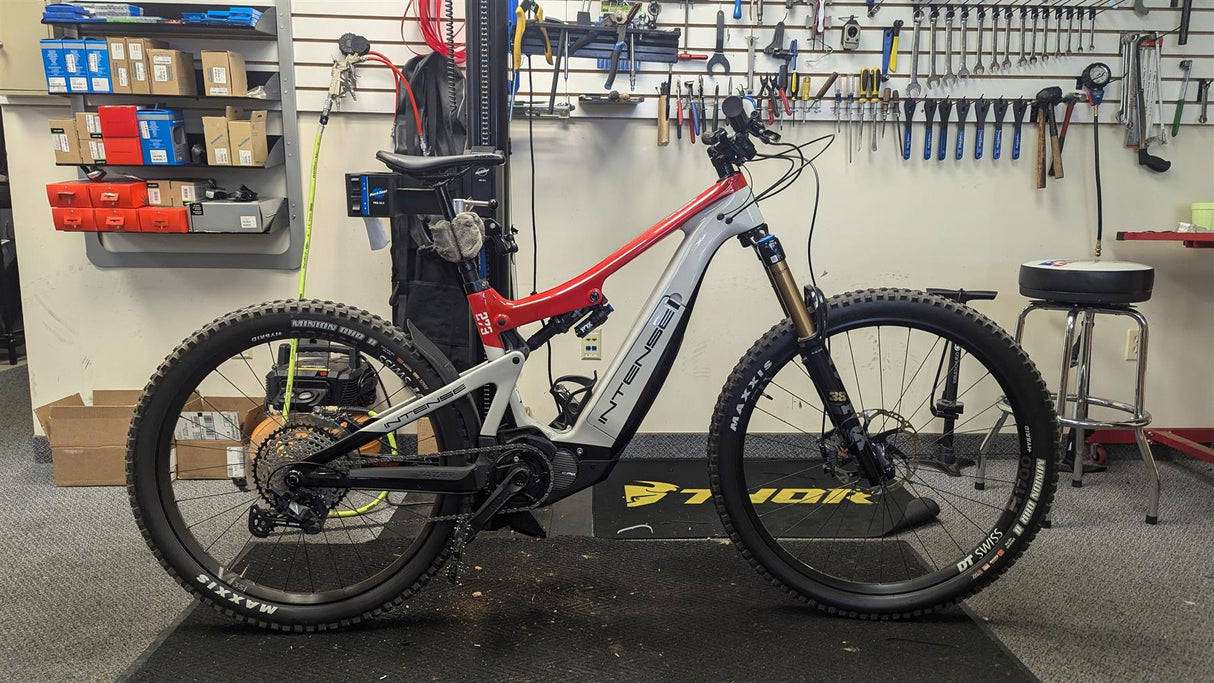 Intense - 2021 Tazer Pro Red M *Demo*