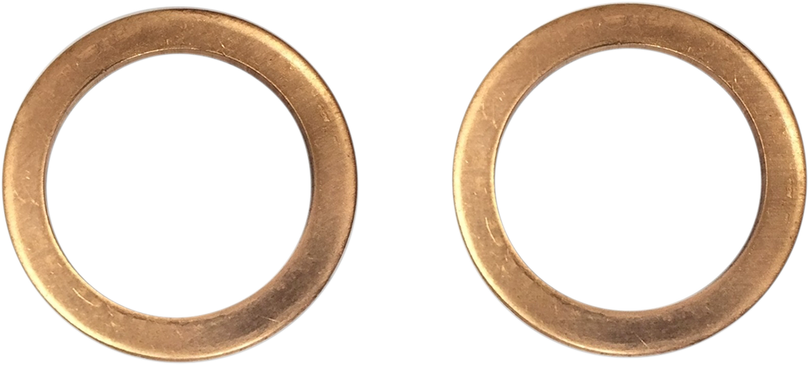 DRAG SPECIALTIES Replacement Fork Damper Tube Mount Washers C23-0236NU-2W - Cycle City Outdoors