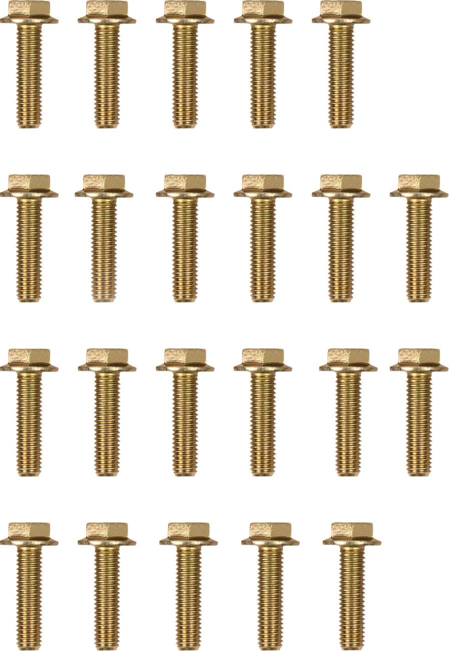 MOOSE OFFROAD Beadlock Bolts - Replacement - 544X - Pack RBYZ-8X30-109-PK