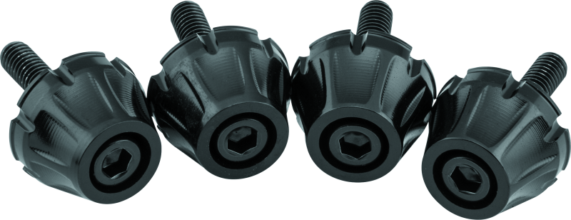 Kuryakyn Windshield Screws FLTR Black - Cycle City Outdoors