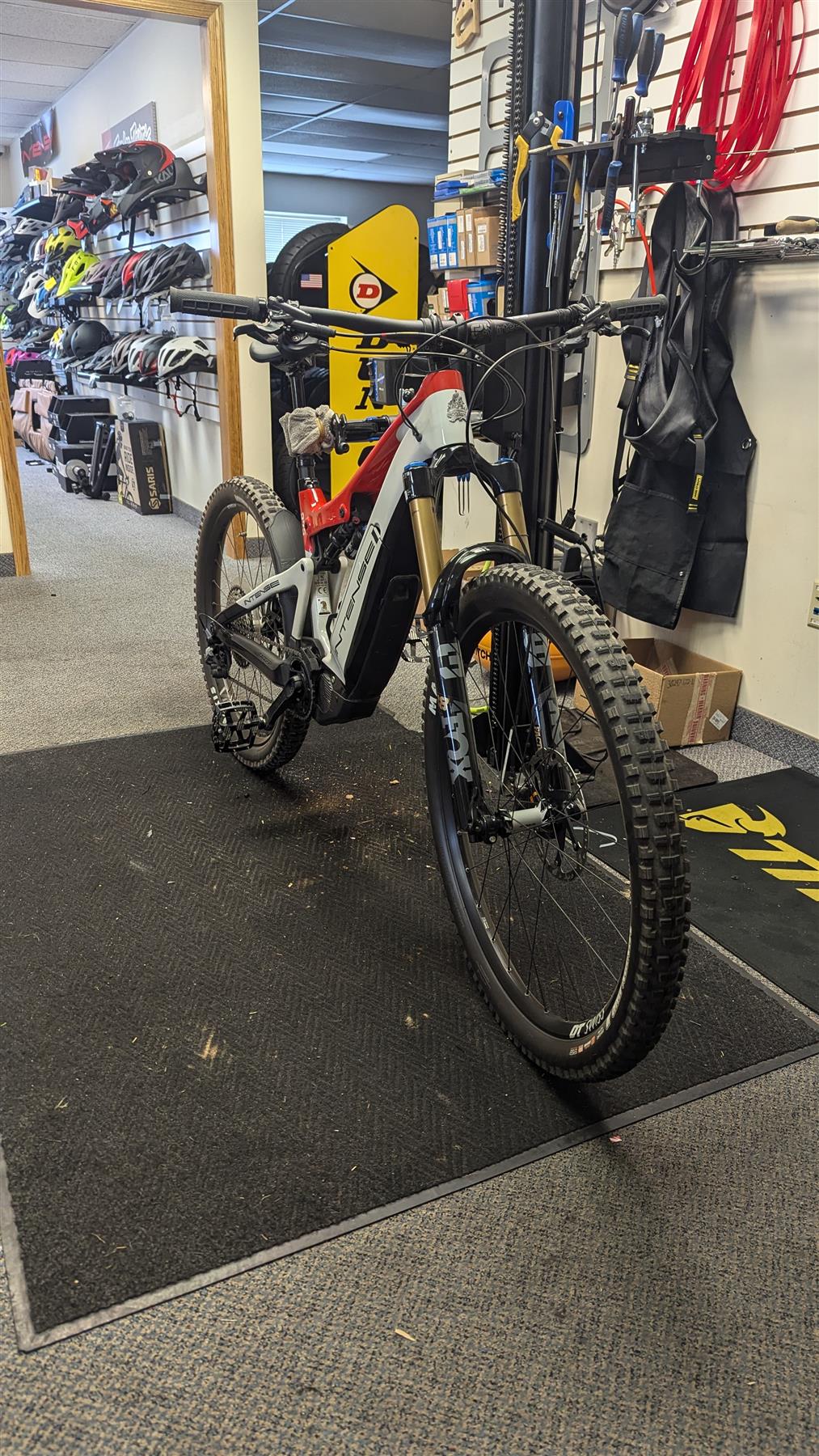 Intense - 2021 Tazer Pro Red M *Demo*