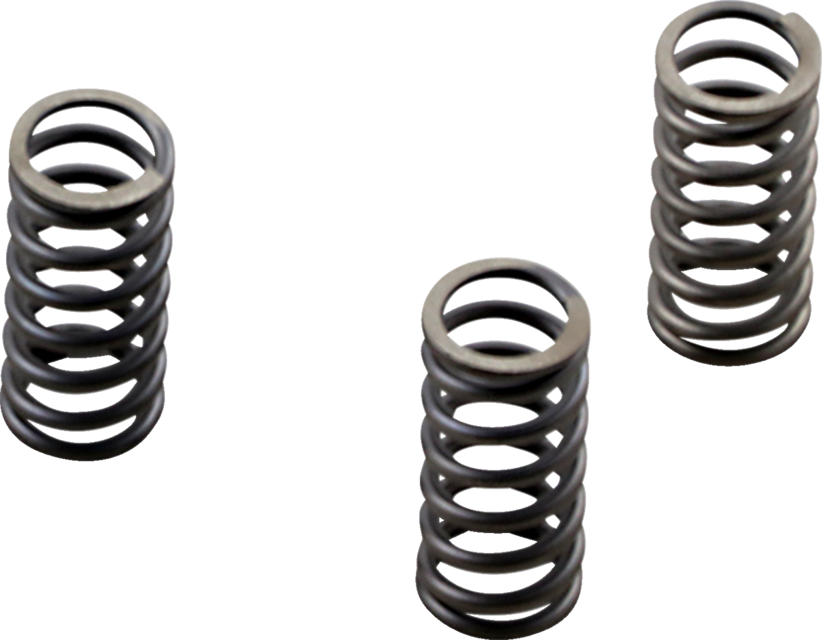 EBC CSK Series Heavy Duty Clutch Spring Kit - CSK236 (Harley-Davidson 2017–2024)