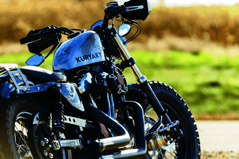 Kuryakyn Dillinger Pegs With Male Mount Adapter Silver - Cycle City Outdoors