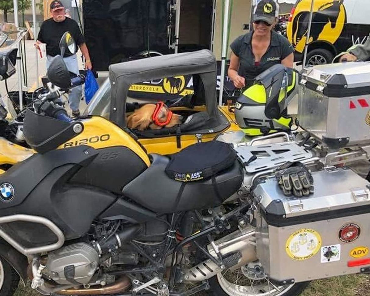 Wild Ass Smart Lite Motorcycle Seat Cushion, Black