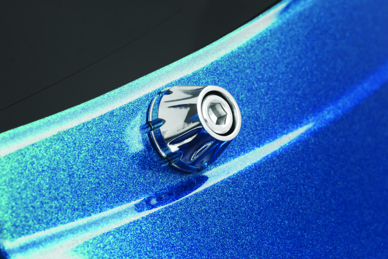 Kuryakyn Windshield Screws FLTR Chrome - Cycle City Outdoors