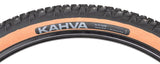 45NRTH Kahva Studded Winter Tire - 29x2.25 Tan | 252 Concave Carbide Studs | 60 TPI Tubeless