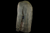Fox Racing - Ranger Long Sleeve Jersey - Bark - L