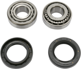 DRAG SPECIALTIES Wheel Bearing Kit - Front 25-1001