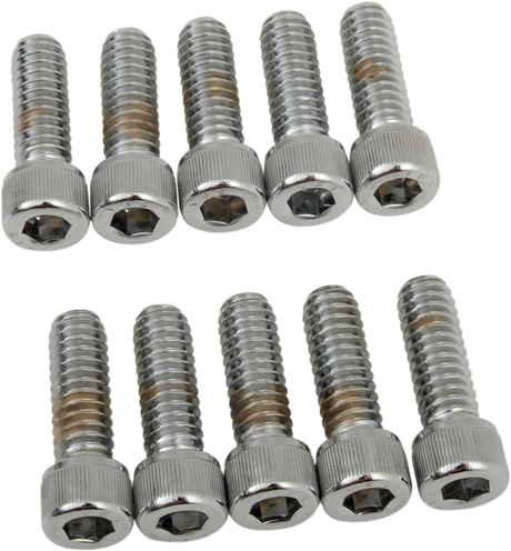 DRAG SPECIALTIES Bolts - Socket-Head - Knurled - 1/4-20 x 3/4" MPB179 - Cycle City Outdoors