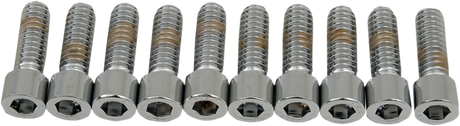 DRAG SPECIALTIES Bolts - Socket-Head - Smooth - 1/4-20 x 3/4" MPB179S - Cycle City Outdoors