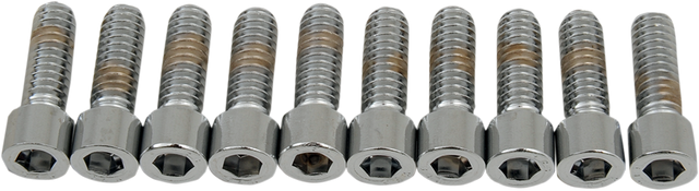 DRAG SPECIALTIES Bolts - Socket-Head - Smooth - 1/4-20 x 3/4" MPB179S - Cycle City Outdoors