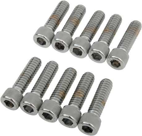 DRAG SPECIALTIES Bolts - Socket-Head - Knurled - 1/4-20 x 7/8" MPB180 - Cycle City Outdoors