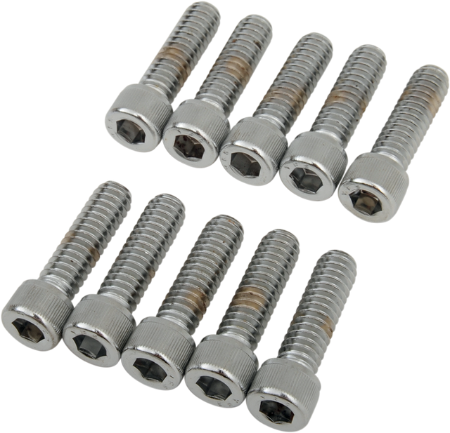 DRAG SPECIALTIES Bolts - Socket-Head - Knurled - 1/4-20 x 7/8" MPB180 - Cycle City Outdoors