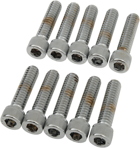 DRAG SPECIALTIES Bolts - Socket-Head - Knurled - 1/4-20 x 1" MPB181 - Cycle City Outdoors