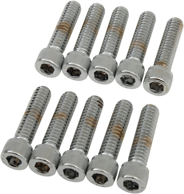 DRAG SPECIALTIES Bolts - Socket-Head - Knurled - 1/4-20 x 1" MPB181 - Cycle City Outdoors