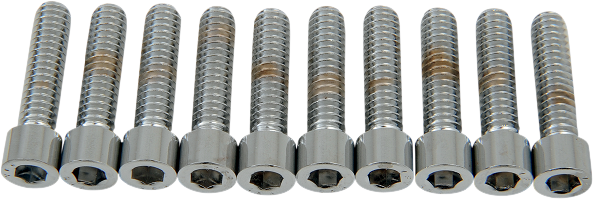 DRAG SPECIALTIES Bolts - Socket-Head - Smooth - 1/4-20 x 1" MPB181S - Cycle City Outdoors