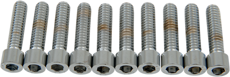 DRAG SPECIALTIES Bolts - Socket-Head - Smooth - 1/4-20 x 1" MPB181S - Cycle City Outdoors