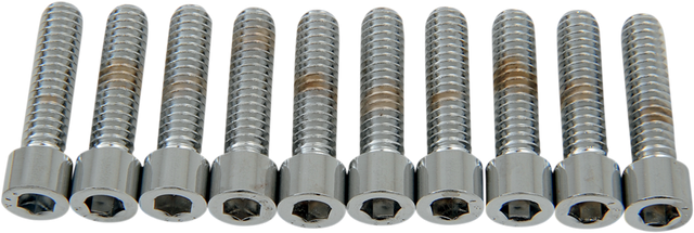 DRAG SPECIALTIES Bolts - Socket-Head - Smooth - 1/4-20 x 1" MPB181S - Cycle City Outdoors