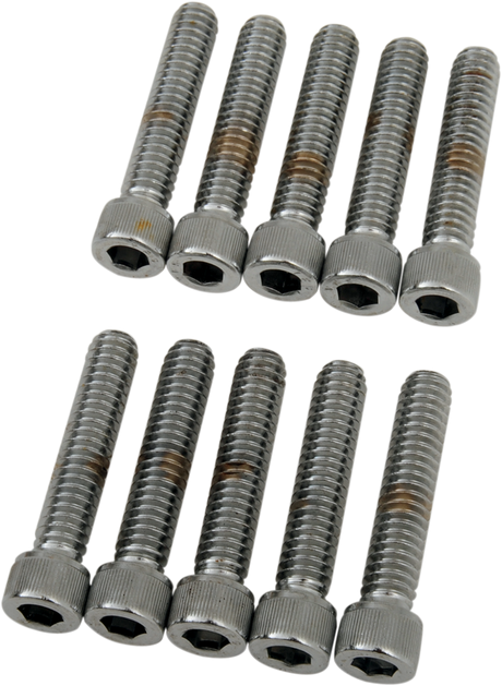 DRAG SPECIALTIES Bolts - Socket-Head - Knurled - 1/4-20 x 1-1/4" MPB182 - Cycle City Outdoors