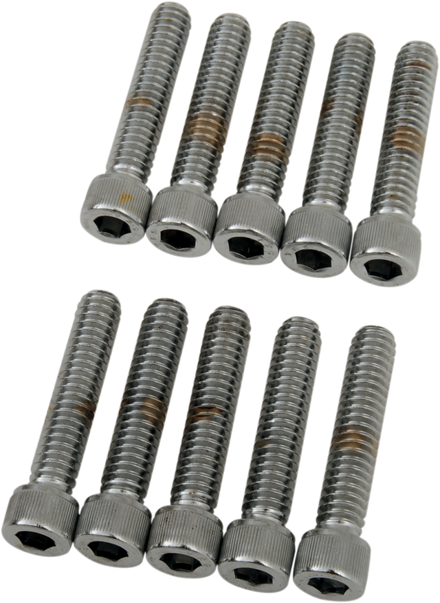 DRAG SPECIALTIES Bolts - Socket-Head - Knurled - 1/4-20 x 1-1/4" MPB182 - Cycle City Outdoors