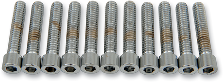 DRAG SPECIALTIES Bolts - Socket-Head - Smooth - 1/4-20 x 1-1/4" MPB182S - Cycle City Outdoors