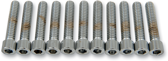 DRAG SPECIALTIES Bolts - Socket-Head - Smooth - 1/4-20 x 1-1/4" MPB182S - Cycle City Outdoors