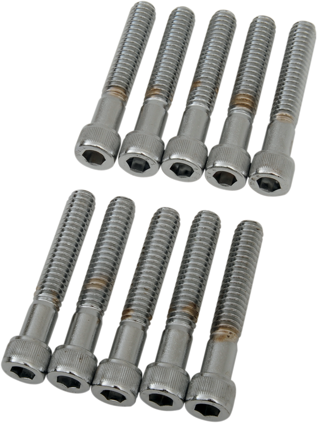 DRAG SPECIALTIES Bolts - Socket-Head - Knurled - 1/4-20 x 1-1/2" MPB183 - Cycle City Outdoors