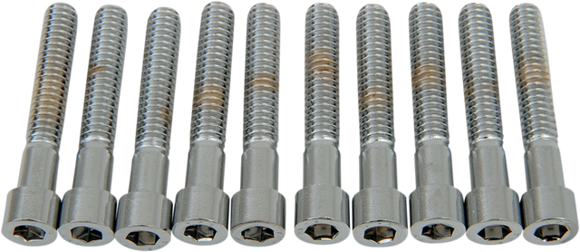 DRAG SPECIALTIES Bolts - Socket-Head - Smooth - 1/4-20 x 1-1/2" MPB183S - Cycle City Outdoors