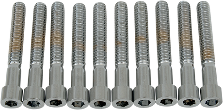 DRAG SPECIALTIES Bolts - Socket-Head - Smooth - 1/4-20 x 1-3/4" MPB184S - Cycle City Outdoors