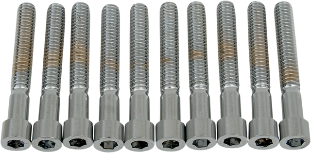 DRAG SPECIALTIES Bolts - Socket-Head - Smooth - 1/4-20 x 1-3/4" MPB184S - Cycle City Outdoors